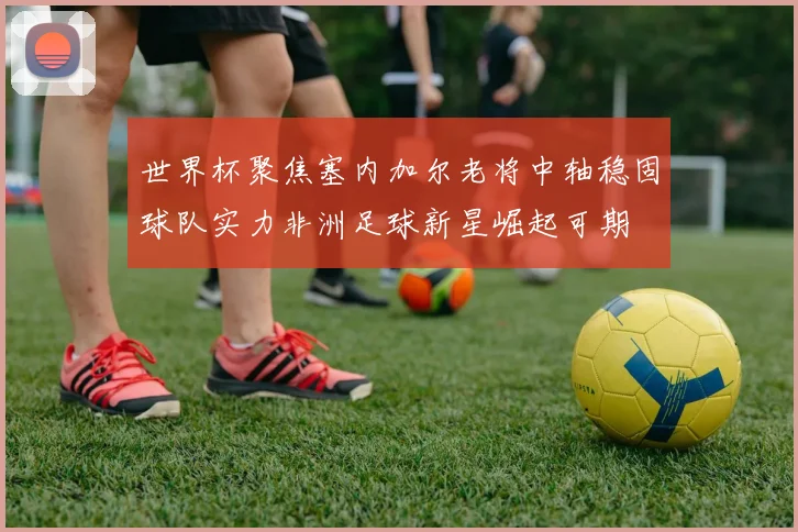 世界杯聚焦塞内加尔老将中轴稳固球队实力非洲足球新星崛起可期